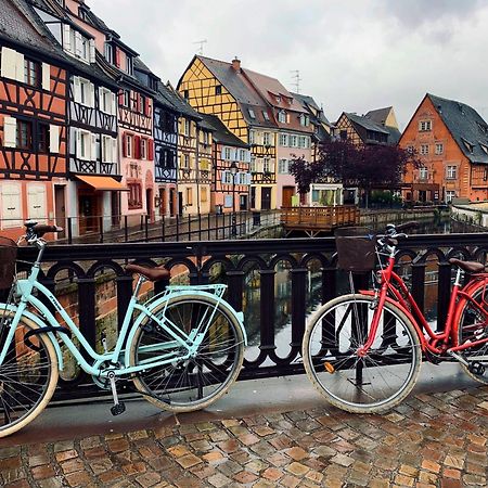 Gites Du Ladhof Colmar Exteriér fotografie